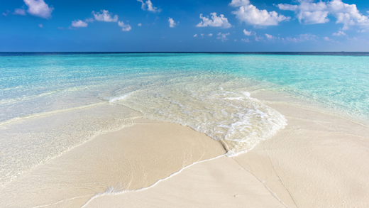 tropical ocean, peace, when the world feels chaotic, start here