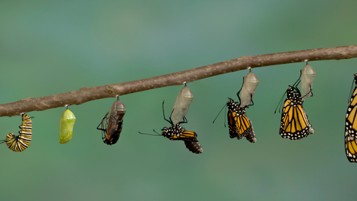 A New Chapter Approaches: Change of Business Name